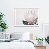 Le Concept Art King Protea II Framed Print