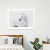 Le Concept Art Horse Lover Framed Print