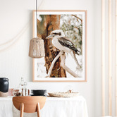 Le Concept Art Sitting Kookaburra Framed Paper Print Wall Art