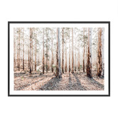 Le Concept Art Eucalyptus Landscape Framed Paper Print Wall Art