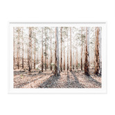 Le Concept Art Eucalyptus Landscape Framed Paper Print Wall Art