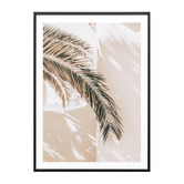 Le Concept Art Shaded Palm Framed Paper Print Wall Art