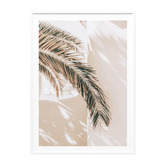 Le Concept Art Shaded Palm Framed Paper Print Wall Art