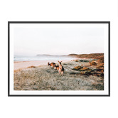Le Concept Art Beach Kangaroo Framed Paper Print Wall Art