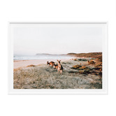 Le Concept Art Beach Kangaroo Framed Paper Print Wall Art