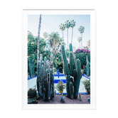 Le Concept Art Marrakech Cacti Framed Paper Print Wall Art