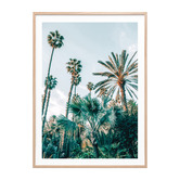 Le Concept Art Lush Palms Framed Paper Print Wall Art