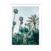 Le Concept Art Lush Palms Framed Paper Print Wall Art