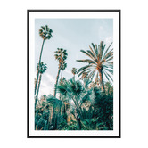 Le Concept Art Lush Palms Framed Paper Print Wall Art