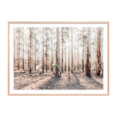 Le Concept Art Eucalyptus Landscape Framed Paper Print Wall Art