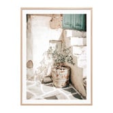 Le Concept Art Olive Tree Framed Paper Print Wall Art