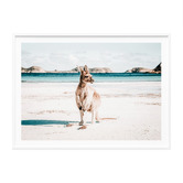 Le Concept Art Beach Paws Framed Paper Print Wall Art