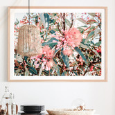 Le Concept Art Australian Florals Framed Paper Print Wall Art