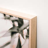 Le Concept Art Black Cockatoo Framed Canvas Wall Art