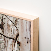 Le Concept Art Bush Clearing Framed Canvas Wall Art