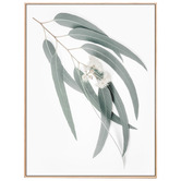 Le Concept Art Light Eucalyptus Leaves Framed Canvas Wall Art
