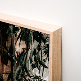 Le Concept Art Winter Gums Framed Canvas Wall Art