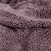 Radisson Home Teddy Fleece Blanket