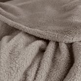 Radisson Home Teddy Fleece Blanket