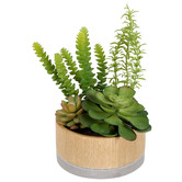Papaya &amp; Patina 16cm Faux Mixed Succulents in Hex Ceramic Pot