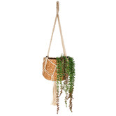 Papaya &amp; Patina Aura Jupe &amp; Seagrass Hanging Planter Set