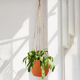 Papaya &amp; Patina Amiina Clay Hanging Planter