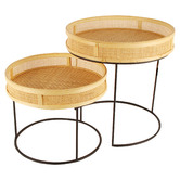 Papaya &amp; Patina 2 Piece Freya Rattan Tray Top Nesting Side Table Set