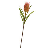 Papaya &amp; Patina 68cm Faux Banksia Stem