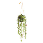 Papaya &amp; Patina 50cm Potted Faux Eucalyptus Hanging Plant