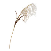 Papaya &amp; Patina 90cm Faux Reed Grass Spray