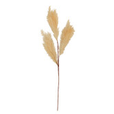 Papaya &amp; Patina 100cm Cream Faux Pampas Spray