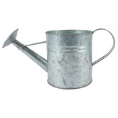 Papaya &amp; Patina Antiqued Silver Loke Aluminium Watering Can