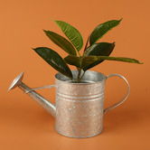 Papaya &amp; Patina Antiqued Silver Loke Aluminium Watering Can