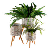 Papaya &amp; Patina 3 Piece Malo Pot Planter Stand Set