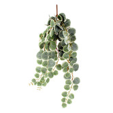 Papaya &amp; Patina 58cm Faux Hanging Peperomia Plant