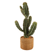 Papaya &amp; Patina 47cm Potted Faux Cereus Cactus Plant