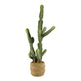 Papaya &amp; Patina 72cm Potted Faux Cereus Cactus Plant