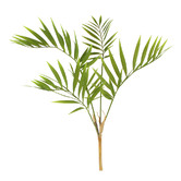 Papaya &amp; Patina 60cm Faux Palm Spray