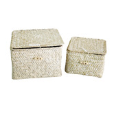 Papaya &amp; Patina 2 Piece Leia Basket with Lid Set