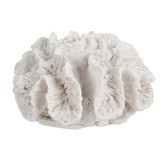 Papaya &amp; Patina White 7 Seas Coral Decorative Ornament