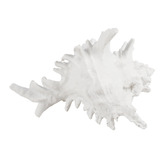 Papaya &amp; Patina White 7 Seas Shell Resin Decorative Ornament