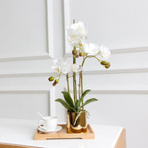 Anita Design Living 50cm Potted Faux Odessa Orchid