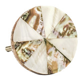 Do.Up Pinwheel Shell Knob