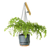 Do.Up Minoh Macrame Plant Hanger