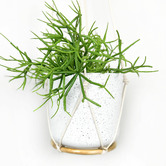 Do.Up Minoh Macrame Plant Hanger