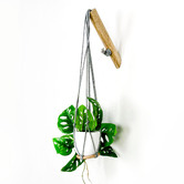 Do.Up Minoh Macrame Plant Hanger