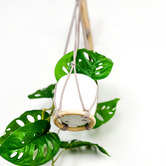Do.Up Minoh Macrame Plant Hanger