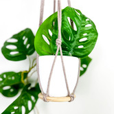 Do.Up Minoh Macrame Plant Hanger
