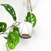Do.Up Minoh Macrame Plant Hanger