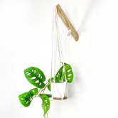 Do.Up Minoh Macrame Plant Hanger